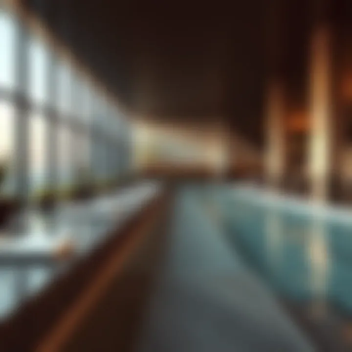 Tranquil spa area showcasing wellness features