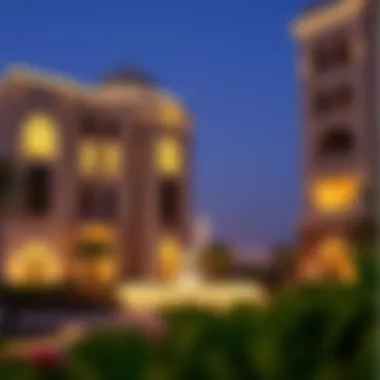 Understanding Visa Status in the UAE Through Passport Details Summary Understanding Visa Status in the UAE Through Passport Details Summary